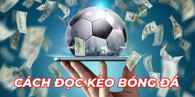 Tìm hiểu cách đọc kèo bóng đá như dân chuyên nghiệp 3 Hướng dẫn cách đọc kèo bóng đá cơ bản