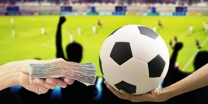 Top công cụ hỗ trợ cá cược bóng đá giúp dự đoán chính xác 2 Các phần mềm dự đoán kết quả trận đấu