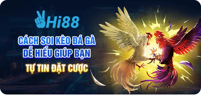 Cách soi kèo đá gà dễ hiểu giúp bạn tự tin đặt cược 1 Cách soi kèo đá gà dễ hiểu giúp bạn tự tin đặt cược