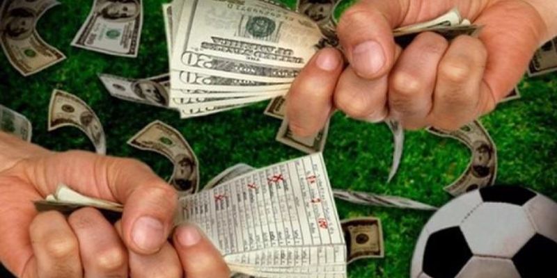 Khám phá thời điểm tốt nhất để đặt cược