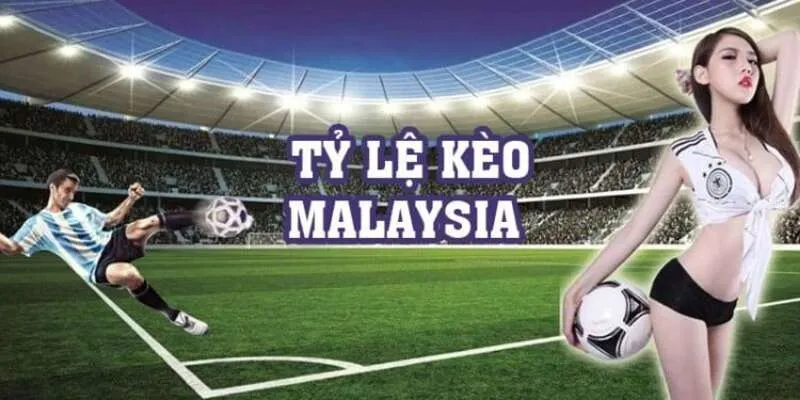 Tỷ Lệ Kèo Malaysia: Mẹo Giúp Bạn Cược Thắng Dễ Dàng Tại Hi88 3 Hướng dẫn đọc tỷ lệ kèo Malaysia cho người mới