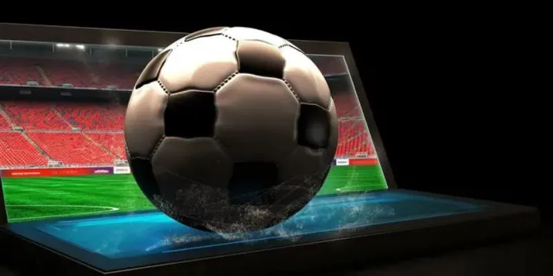 Khám phá các loại kèo cá cược bóng ném phổ biến