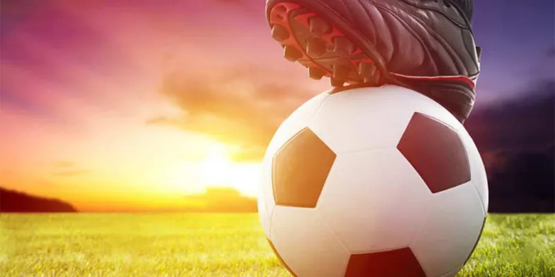 Môi trường cá cược chuyên nghiệp