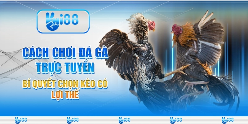 Cách chơi đá gà trực tuyến - Bí quyết chọn kèo có lợi thế 1 Cách chơi đá gà trực tuyến - Bí quyết chọn kèo có lợi thế