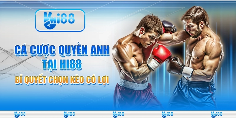 Cá cược quyền anh tại Hi88 - Bí quyết chọn kèo có lợi 5 Cá cược quyền anh tại Hi88 - Bí quyết chọn kèo có lợi