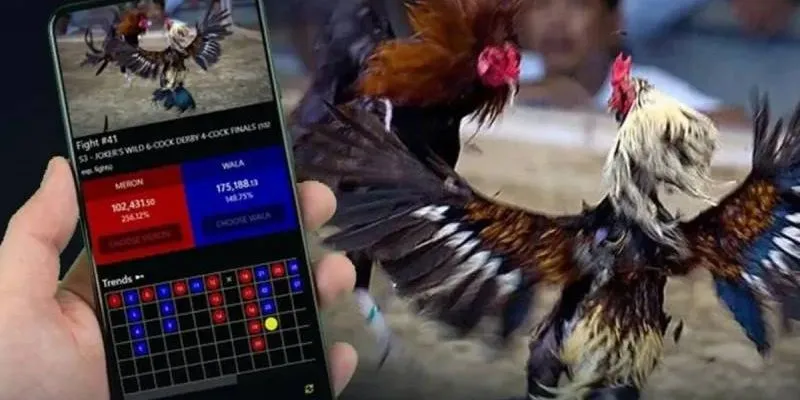 Cách chơi đá gà trực tuyến - Bí quyết chọn kèo có lợi thế 3 Bí quyết cược đá gà nâng cao chiến thắng